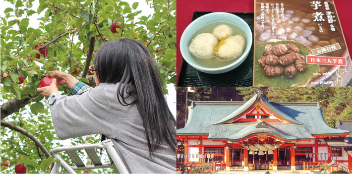 秋の味覚!日本三大芋煮、『津和野の芋煮』とりんご狩りの旅